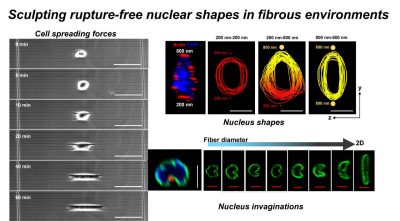 Nucleus research