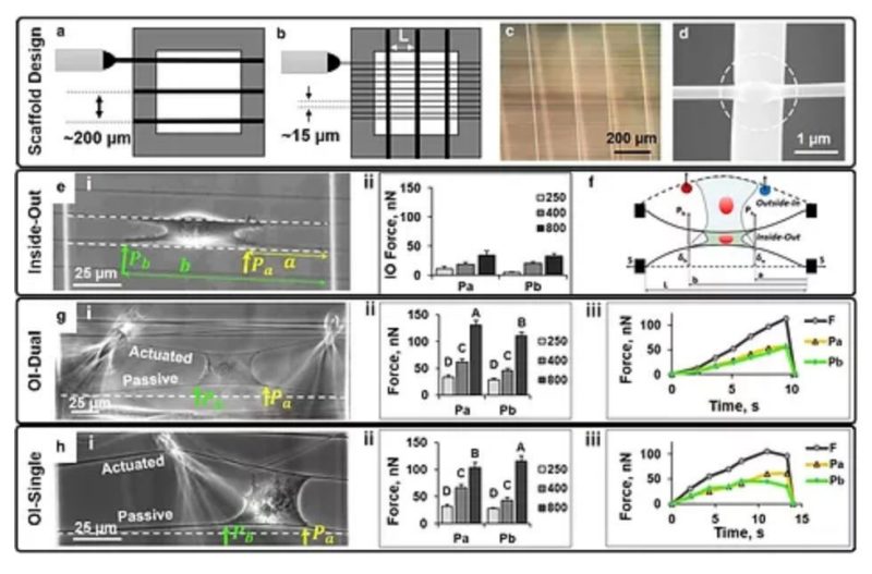 Nanonet Force Microscopy for Measuring Cell Forces